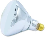 Heat Lamp Bulb 03916 250W 120V. Fixed Price $9.99.