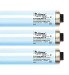 Brilliance Supreme Bronzer F73T12 8.5% 100W Rdc Tanning Bulbs - Hot Lamps!. Fixed Price $248.95.