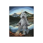 Stupell Industries Dog By Campfire Landscape Canvas Wall Art Design Holly .... Fixed Price $81.84.