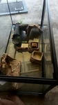 Aquarium Tank Kit Reptile Turtle Frog Lizard Snake Exo Animal Habitat. Fixed Price $400.00.
