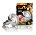 Exo Terra Intense Basking Spot 150 Watt PT-2140. Fixed Price $15.99.