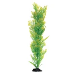 Underwater Treasures Violet Plant Select Size:: 20 Inch. Fixed Price $17.89.