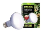 Exo Terra Daylight Basking Spot Lamp Bulb Reptile Lightning 50W/75W/100W. Fixed Price $23.71.