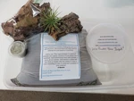 Starter Kit With 20 Powder Blue And 8 Oz Springtail Charcoal. Fixed Price $54.99.