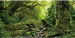 48X24 Inches Tropical Forest Terrarium Background Stream Green Huge Tree Reptile. Fixed Price $20.95.