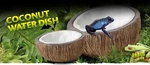 Exo Terra Coconut Water Dish Bowl- Smooth Inside For Easy Cleaning. Fixed Price $8.13.