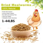 Dried Mealworms Bulk Gmo Free Chickens Hen Bluebirds Gliders Duck Feed Us. Fixed Price $57.99.