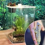 Reptile Enclosure Lives Cage Lizard Frog Pet Snake Terrarium Insect Acrylic. Fixed Price $33.81.