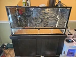 Custom Built Repti-zoo RK0119 Glass Terrarium Tank (stand Not Included). Fixed Price $600.00.