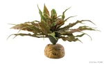 Exo Terra Star Cactus. Fixed Price $11.29.