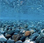 18X36 Seaview Brilliant Backgrounds Double Sided Aquarium Green/river Rock. Fixed Price $8.99.