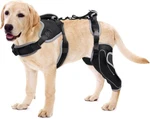 Lispoo Knee For Torn Acl Hind Leg,dog Braces Back. Fixed Price $38.00.