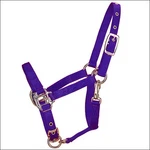 37HM 3/4 Inch Weanling Horse Adjustable Chin Halter Snap By Hamilton Products. Fixed Price $43.99.