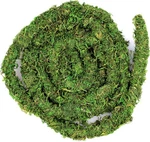 Galpagos Moss Vine 12FT Real For Reptile Tank Decoration Green. Fixed Price $19.99.