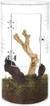 Naneezoo Acrylic Tarantula Enclosure Jumping Spider 6X6X12 Inch, Transparent. Fixed Price $45.38.