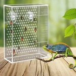 Reptile Bearded Dragon Feeder Wall-mounted Insect For Chameleon Lizard. Fixed Price $17.09.