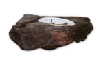 Magnatural Large Worm Feeder Ledge Earth Pet-tekk. Fixed Price $41.50.