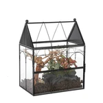 Ncyp Glass Enclosure With Vent Holes For Jumping Spiders, Praying Mantis, Sma.... Fixed Price $66.76.