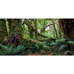 Awert 30X12 Inches Tropical Forest Terrarium Background Green Huge Tree Repti.... Fixed Price $18.42.