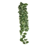 Reptile Treasures Manjula Plant 24 Inch. Fixed Price $12.99.