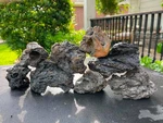 Lava Rock Aquarium Reptile Art Terrarium Pet Garden Fish Aquascaping Home Decor. Fixed Price $22.99.