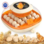 Egg Incubator Automatic 25 Chickcozy 360 View Thermometer Humidity Control Seat. Fixed Price $179.99.