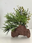 6 In. Rock Garden Natural Artificial Green Plastic Plant With Red Lava Base. Fixed Price $14.60.