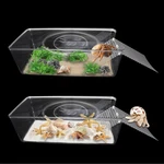 Iffitya Packs Hermit Crab Water Tank - Ideal LARGE*2, Transparent. Fixed Price $20.41.