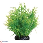 Lemon Grass - 6" (2 Pack). Fixed Price $22.97.