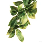 Exo Terrarium Plastic Jungle Plant Mandarin Small. Fixed Price $10.99.