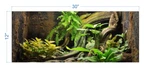 Tropical Environment 2 - "not Peel And Stick" Terrarium Background TRB0006. Fixed Price $23.40.