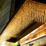 Kemooie 400 Led Outdoor Curtain Lights, 26.2FT X 3.3FT String. Fixed Price $31.70.