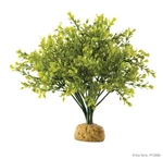 Exo Terra Rainforest Plant - Boxwood Bush. Fixed Price $16.99.