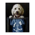 Stupell Industries Funny Dog X-ray Snacks Canvas Wall Art, Design By Lucia He.... Fixed Price $52.77.