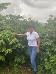5 Espresso Coffee Beans Dark Roast 2LB Split 1LB Bags Fresh Whole. Fixed Price $33.95.