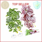 Quozuo 2 Pack Reptile Plants, Artificial Hanging With Suction Cups, Habit. Fixed Price $14.44.
