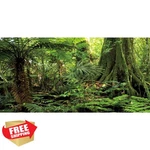 Awert Forest Terrarium Background 72X24 Stone Green Tree Reptile. Fixed Price $20.00.