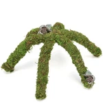 Usmola 12 Hermit Crab Climbing Toys For Tank, Inch, Natural Green. Fixed Price $10.52.
