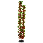 Underwater Treasures Red Green Bacopa Plant Select Size:: 24 Inch. Fixed Price $19.99.