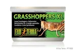 Exo Terra Grasshoppers Xl 1.2 Oz. Fixed Price $7.89.