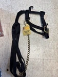 Hamilton 1" Cow Halter W/ Lead Chain. Fixed Price $37.00.