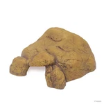 Exo Terra Reptile Cave X-large PT2933 Natural Hide Shelter. Fixed Price $35.99.