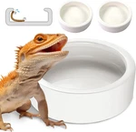 Reptile Food Dish Bowl, Worm Water Small (2.75IN) Lizard Gecko Ceramic Pet. Fixed Price $12.99.
