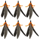 Cateneed Feather Toys Refill, 6 Pieces Wand Attachments Bird Feath.... Fixed Price $15.83.