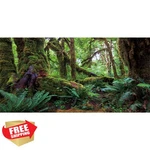 Awert Tropical Rainforest 30X18 Inch Terrarium Background Lizard Snake. Fixed Price $20.00.
