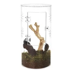 Naneezoo Acrylic Tarantula Enclosure Jumping Spider With Front Open.... Fixed Price $55.78.