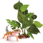Sungrow Gecko And 5 Inches (d) X 10 (w) (h), Emerald Green. Fixed Price $12.61.