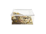 Herpcult Acrylic Reptile Terrarium Gecko Snake Spider Vivarium Cage Small Flat. Fixed Price $36.98.