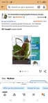 Ectotherm Jumping Spider Enclosure - For Habitat, Medium, Transparent. Fixed Price $20.00.