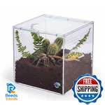 Ectotherm Terrestrial Terrarium - Tarantula Enclosure For Spider, Gecko, Frog,. Fixed Price $53.84.